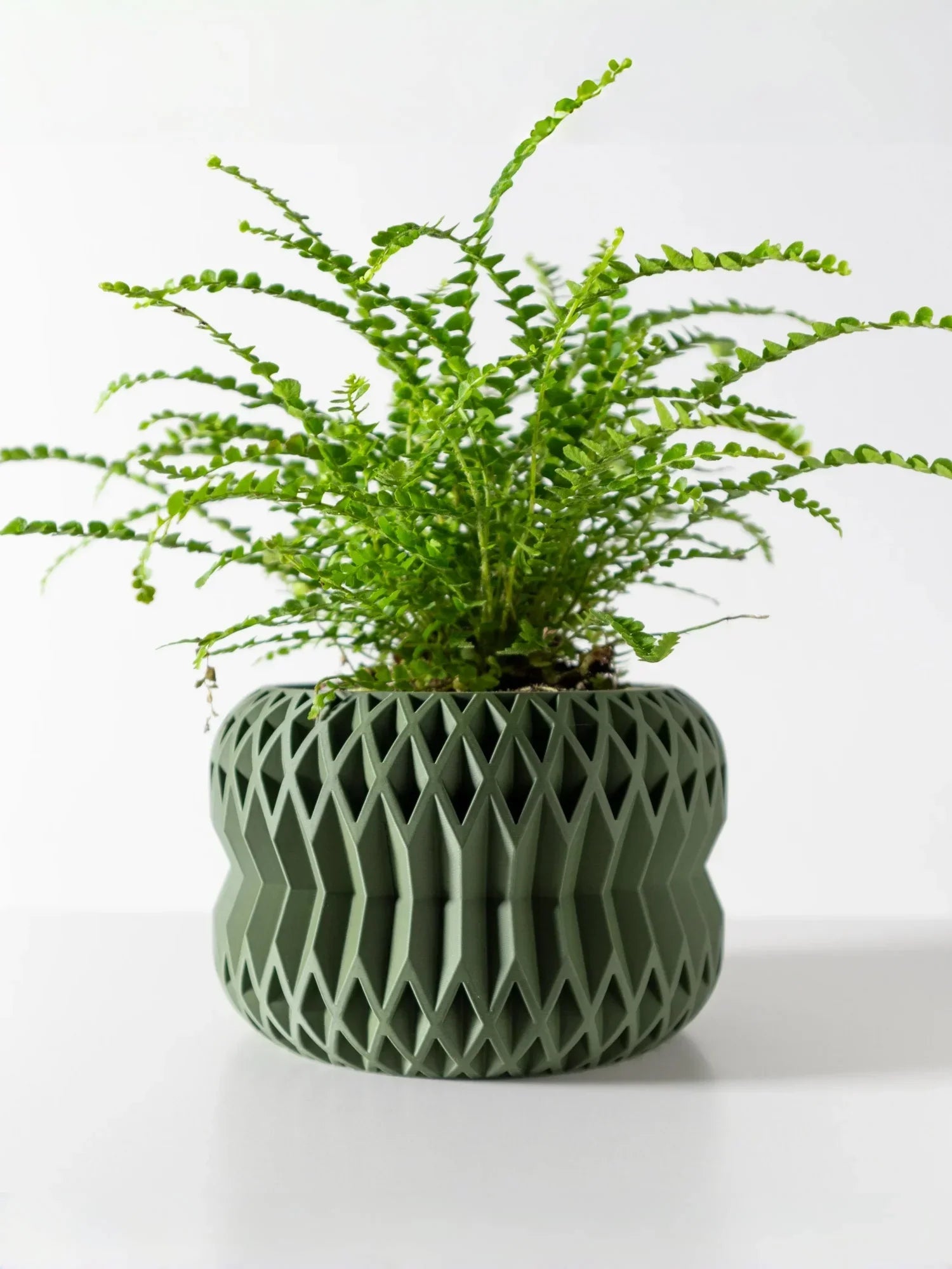 Biodegradable 3D Printed Plant Pot for Home Decor
