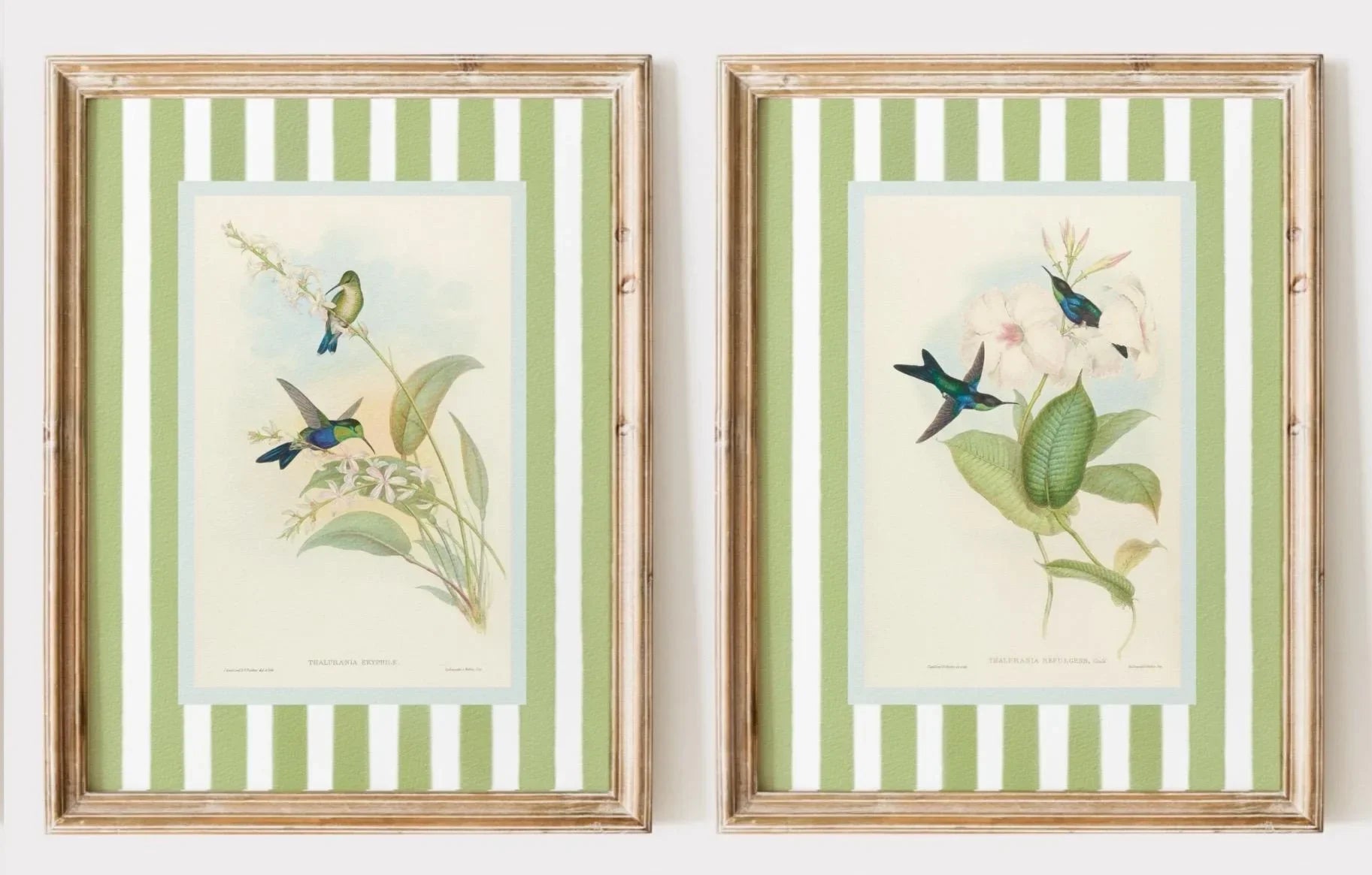Retro Hummingbird Canvas Prints for Home Decor