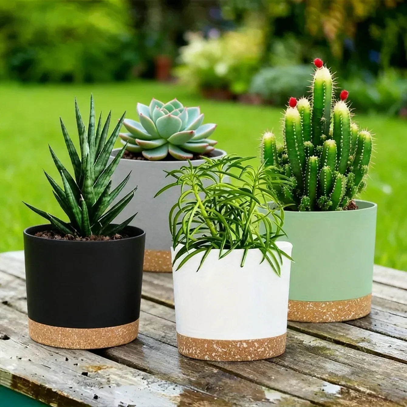 Indoor Plastic Planters with Drainage Holes and Saucer